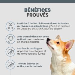 Bénéfices des croquettes pour chien Specific CJD soutien articulaire.