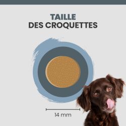 Taille d'une croquette Specific CJD