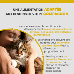 Terrine Specific FPD adaptée à l'alimentation du chaton