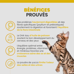 Les bénéfices des croquettes Specfic FPD pour le chat