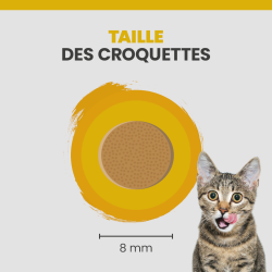 La taille d'une croquette Specific FPD pour les chatons.
