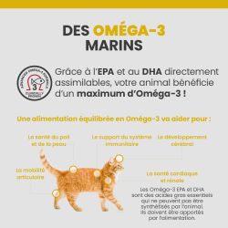 Les bénéfices des acides gras Oméga-3 issus du poisson, du krill et des algues, ayant des effets bénéfiques sur la santé du chat