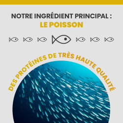 L'ingrédient principale de l'alimentation Specific FPD est le poisson.