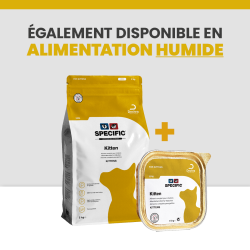 Une alimentation complète avec les croquettes et les terrines pour le chaton.