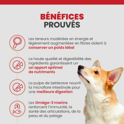 Les bénéfices des croquettes Specfic CXD-M pour chien de race moyenne.