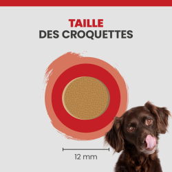 La taille d'une croquette Specific CXD-M.