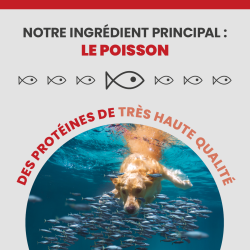 L'ingrédient principale de l'alimentation Specific CXD-M est le poisson.