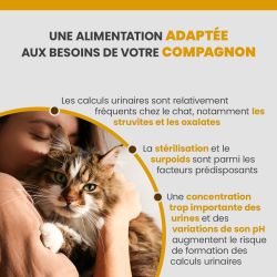 Croquette Specific FCD-L adaptée au chat en surpoids pour la dissolution de calculs de struvite.