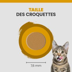 La taille d'une croquette Specific FCD-L.