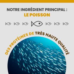 L'ingrédient principale de l'alimentation Specific FCD-L est le poisson.