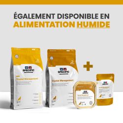 Une alimentation complète (croquettes et terrines) pour la dissolution de calculs de struvite chez le chat en surpoids.