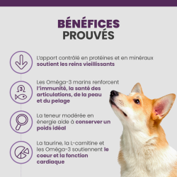 Les bénéfices des croquettes Specfic CGD-XL pour chien de grande race et race géante.