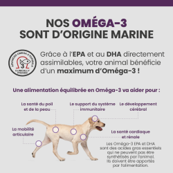 Les bénéfices des acides gras Oméga-3 sur la santé des articulations, du pelage et de la peau du chien.