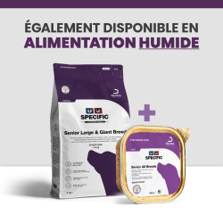 Une alimentation complète avec les croquettes et les terrines pour Chien de grande race et race géante.