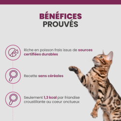 Les bénéfices des friandises Specfic FT-H pour chat.
