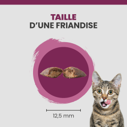 La taille d'une friandise Specific FT-H.
