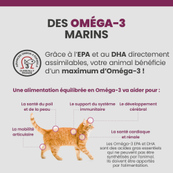 Les bénéfices des acides gras Oméga-3 sur la santé des articulations, du pelage et de la peau du chat.