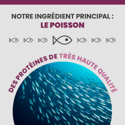 L'ingrédient principale de l'alimentation Specific est le poisson.