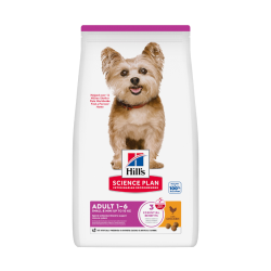 Chien Adult Small & Mini...