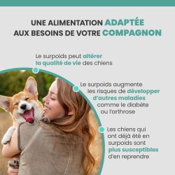 Croquette Specific CRD-2 adaptée au chien après une perte de poids