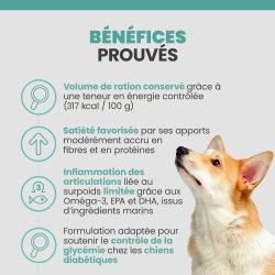 Les bénéfices des croquettes Specfic CRD-2 pour les chiens après une période de perte de poids.