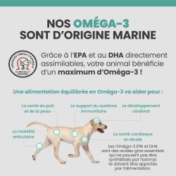 Les bénéfices des acides gras Oméga-3 sur la santé des articulations, du pelage et de la peau du chien.