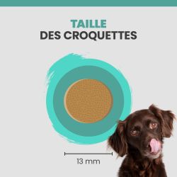 La taille d'une croquette Specific CRD-2 pour chien.