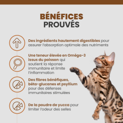Les bénéfices des terrines Specfic FIW-P pour chat souffrant de trouble gastro-intestinal.