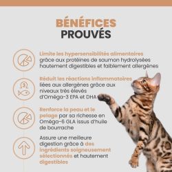 Les bénéfices des terrines Specfic FOW-HY pour le chat allergique.