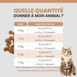 Tableau de rationnement des terrines pour le chat selon son poids et son alimentation.