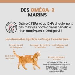 Les bénéfices des acides gras Oméga-3 sur la santé des articulations, du pelage et de la peau du chat.