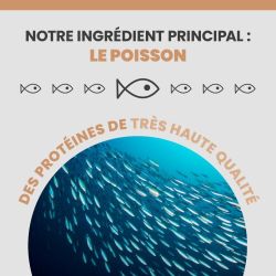 L'ingrédient principale de l'alimentation Specific FOW-Hy est le poisson.