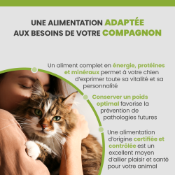 Terrine Specific Organic F-Bio W adaptée à l'alimentation du chat adulte