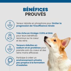 Les bénéfices des terrines Specfic CKW pour chien souffrant d'insuffisance Cardiaque rénal et hépatique.