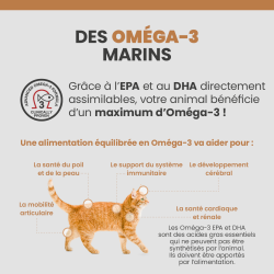 Les bénéfices des acides gras Oméga-3 sur la santé des articulations, du pelage et de la peau du chat.