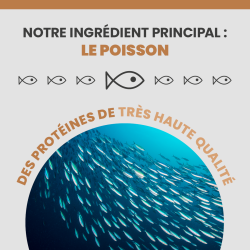 L'ingrédient principale de l'alimentation Specific est le poisson.