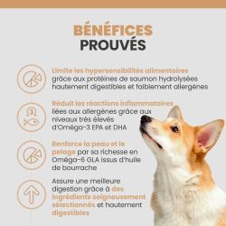 Les bénéfices des terrines Specfic COW-HY pour chien ayant des allergies alimentaires et environnementales.
