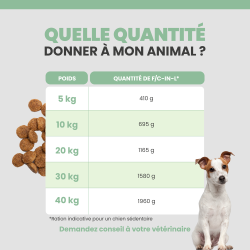 Tableau de rationnement de l'alimentation Specific FC-IN L pour le chien selon son poids.