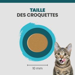 La taille d'une croquette Specific FRD pour chat en surpoids.