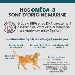 Les bénéfices des acides gras Oméga-3 sur la santé des articulations, du pelage et de la peau du chat.