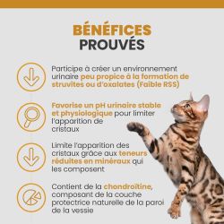 Les bénéfices de l'alimentation Specfic FCW-P pour la réduction des calculs de struvite pour chat.