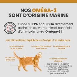 Les bénéfices des acides gras Oméga-3 sur la santé des articulations, du pelage et de la peau du chat;