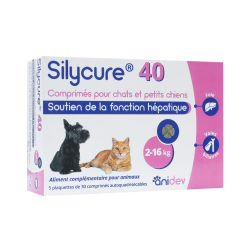 Anidev Silycure 40 –...
