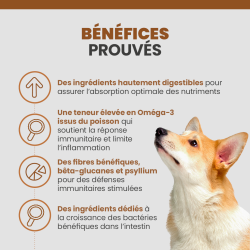 Bénéfices de la croquette chien Specific CID pour le soutien de la santé gastro-intestinal.