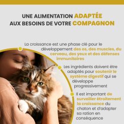 Terrine Specific FPW adaptée au chaton.