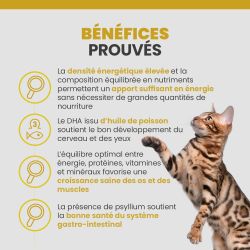 Les bénéfices des terrines Specfic FPW pour les chatons en croissance.