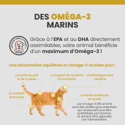 Les bénéfices des acides gras Oméga-3 sur la santé des articulations, du pelage et de la peau du chat.