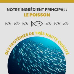 L'ingrédient principale de l'alimentation Specific est le poisson.
