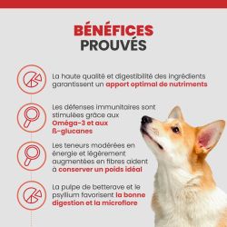 Bénéfices de la terrine Specific CXW pour les chiens adultes.