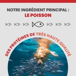 L'ingrédient principale de l'alimentation Specific CXW est le poisson.